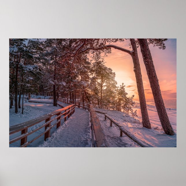 Winter Sonnenuntergang im Kiefernwald in der Nähe  Poster (Vorne)