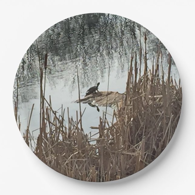 Winter-Sonnenwende Pappteller (Vorderseite)