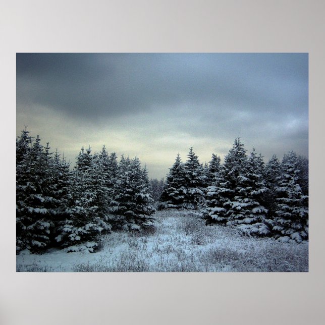 Winter Storm Poster (Vorne)