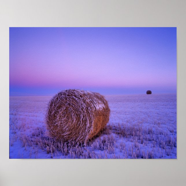 Winter Straw Bales bei Cartwright North Poster (Vorne)