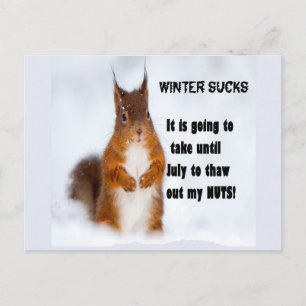 Winter Sucks (Begriffsklärung) Postkarte
