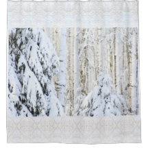 Winter Sun auf weiße Fichte-Pappel-Wald