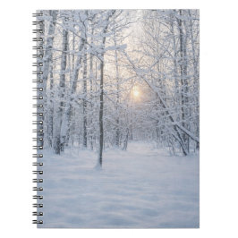 Winter Sunlight in Quiet Birch Forest Notizblock