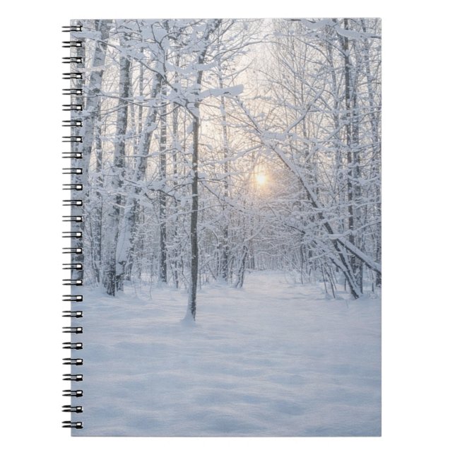 Winter Sunlight in Quiet Birch Forest Notizblock (Vorderseite)
