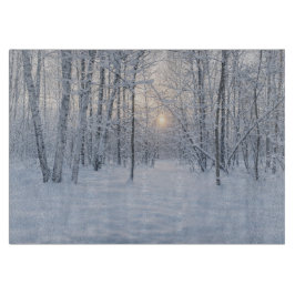 Winter Sunlight in Quiet Birch Forest Schneidebrett