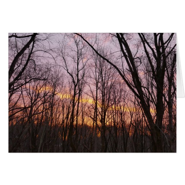 Winter Sunrise II (Vorderseite (Horizontal))