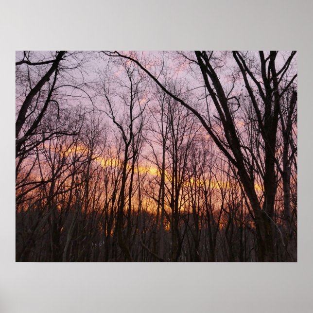 Winter Sunrise II Poster (Vorne)