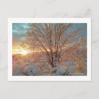 Winter Sunrise Postkarte