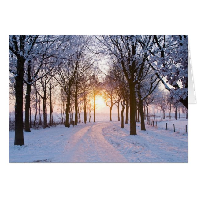 Winter Sunset (Vorderseite (Horizontal))
