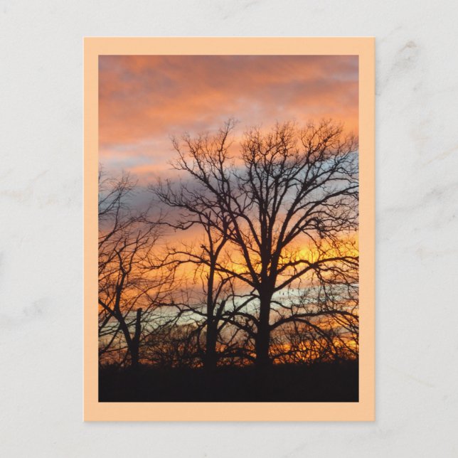 Winter Sunset 1 benutzerdefinierte Postkarte (Vorderseite)