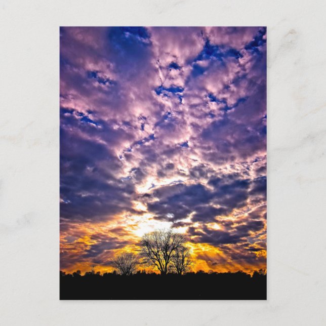 Winter Sunset Postcard Postkarte (Vorderseite)