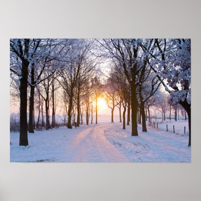 Winter Sunset Poster (Vorne)