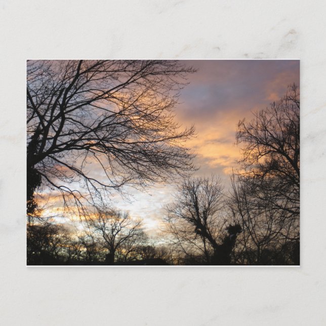 Winter Sunset Postkarte (Vorderseite)