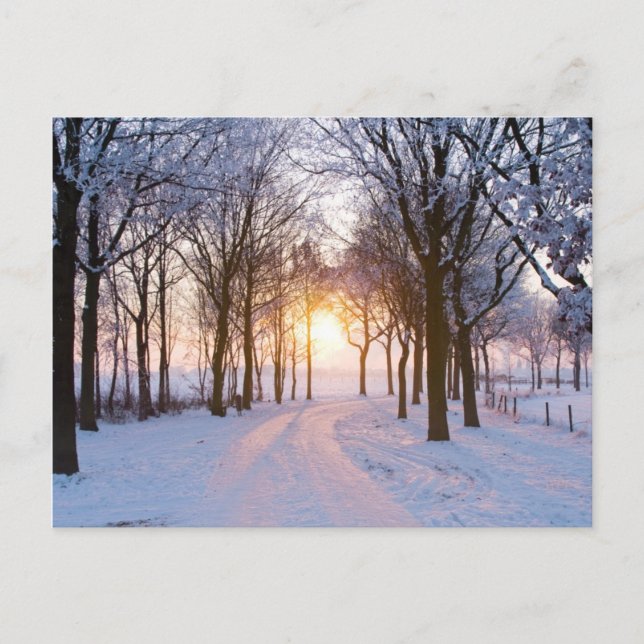 Winter Sunset Postkarte (Vorderseite)