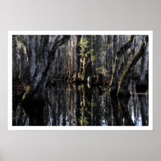 Winter Swamp Poster