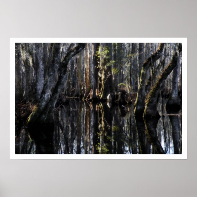 Winter Swamp Poster (Vorne)