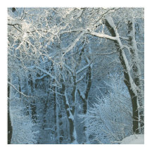 Winter Szene Winter Wonderland Snowy Hintergrund