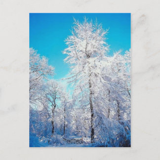 Winter-Szenen-Postkarte Postkarte