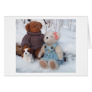Winter Teddy Couple mit Welpe