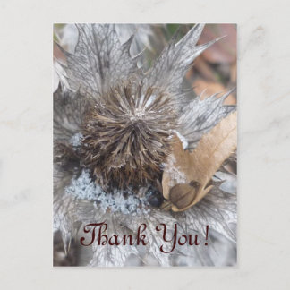 Winter Thistle - Danke Yuu Card Postkarte