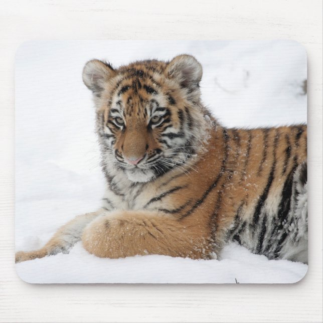 Winter Tiger Mousepad (Vorne)