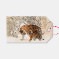 Winter Tigers benutzerdefinierte Geschenketiketten