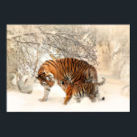 Winter Tigers Poster<br><div class="desc">Sehen Sie in meinem Laden nach mehr Tigerartikeln.</div>