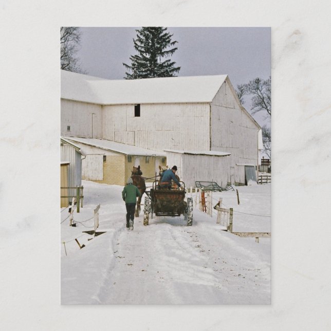 Winter Time Amish Farm Postcard Postkarte (Vorderseite)