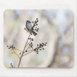 Winter Titmouse Mousepad
