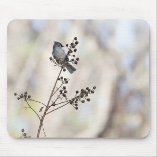 Winter Titmouse Mousepad