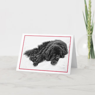 Winter-Träume Feiertagskarte