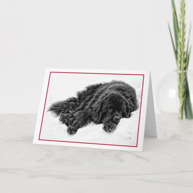 Winter-Träume Feiertagskarte (Vorderseite)