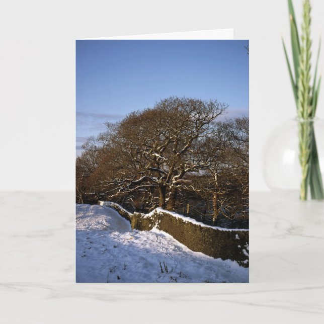 Winter Tree Lyme Handley Cheshire Feiertagskarte (Vorderseite)