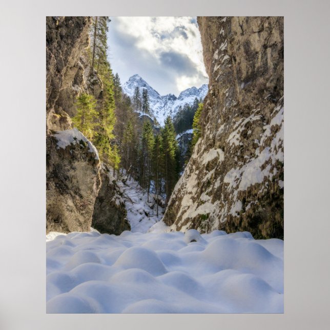 Winter- und Frühlingstal und Berge Poster (Vorne)