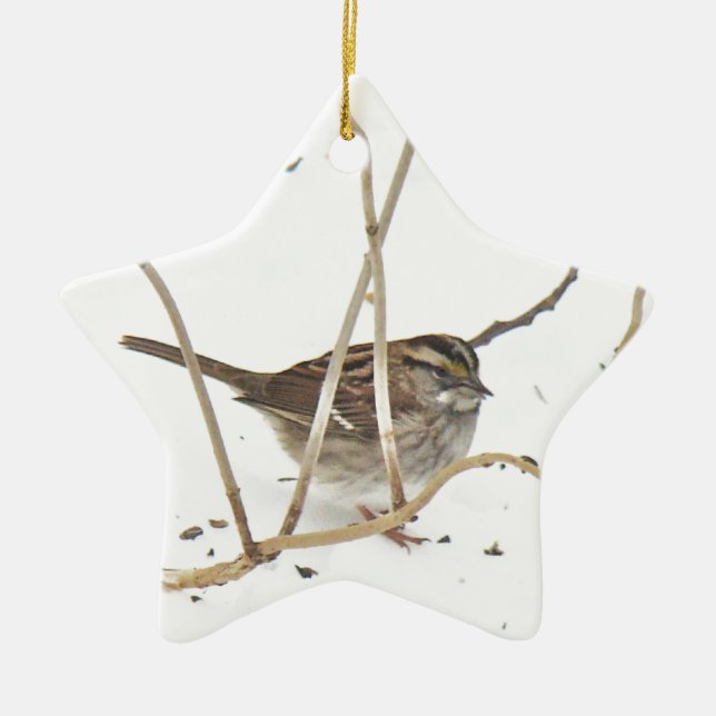 Winter und Sparrow Keramik Ornament (Vorne)