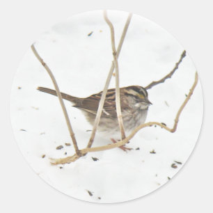 Winter und Sparrow Runder Aufkleber