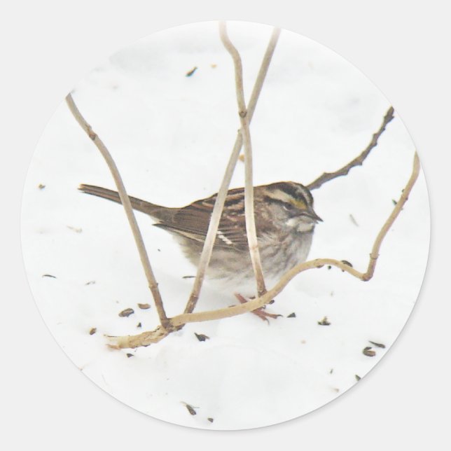 Winter und Sparrow Runder Aufkleber (Vorderseite)