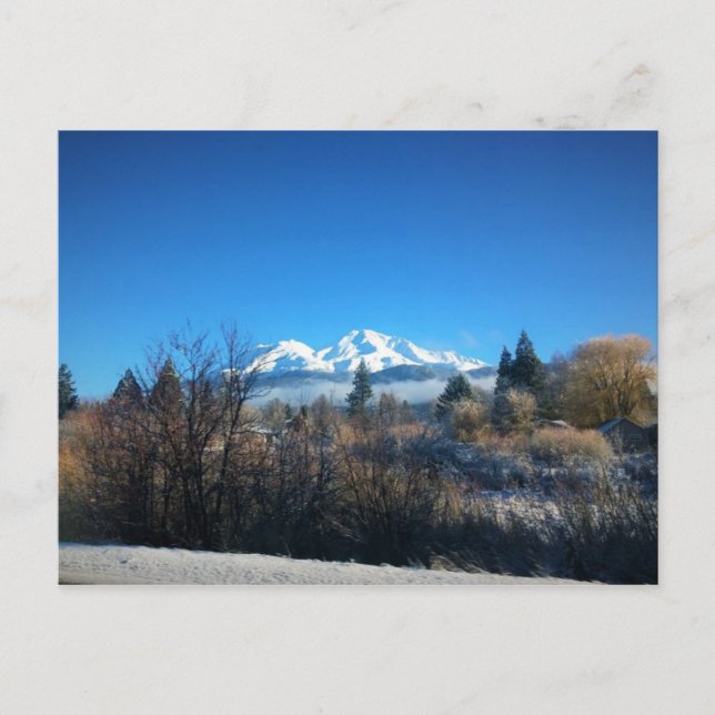 Winter View at Mount Shasta, CA Postkarte (Vorderseite)