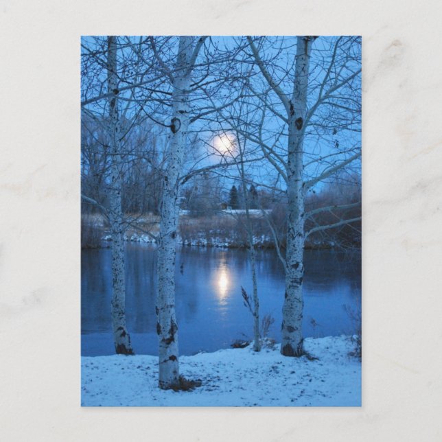 Winter Vollmond am Teich Postkarte (Vorderseite)