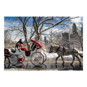 Winter-Wagen-Pferde im Central Park Fotodruck