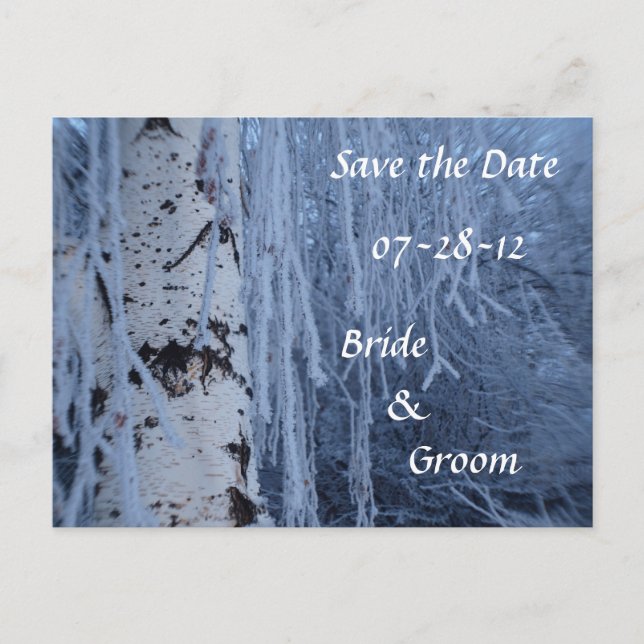 Winter-Weiden-Birke-Hochzeitspostkarten Ankündigungspostkarte (Vorderseite)