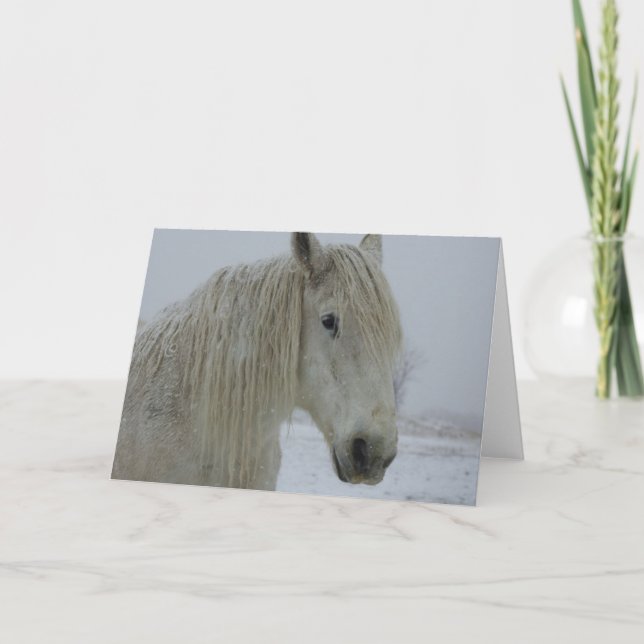 Winter-Weiß Karte (Vorderseite)