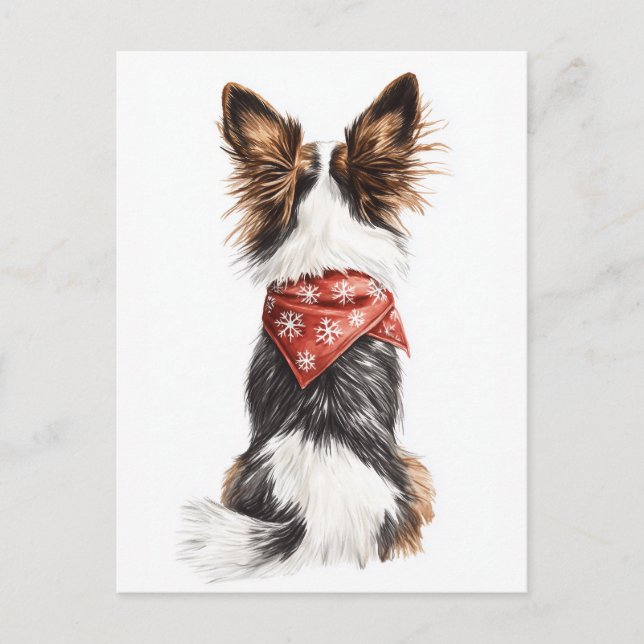 Winter Whiskers Postkarte (Vorderseite)