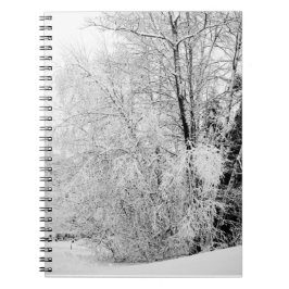 Winter Whites Notebook Notizblock