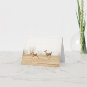Winter Whitetails Karte