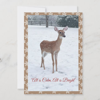 Winter-Wildlife-Szene mit jungem Reh in Schnee Feiertagskarte