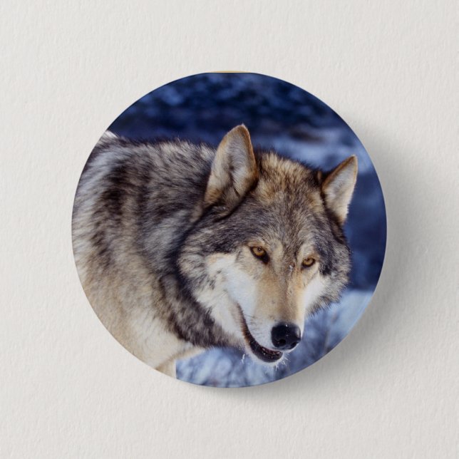 Winter Wolf 2 Button (Vorderseite)