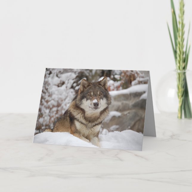 Winter Wolf Karte (Vorderseite)