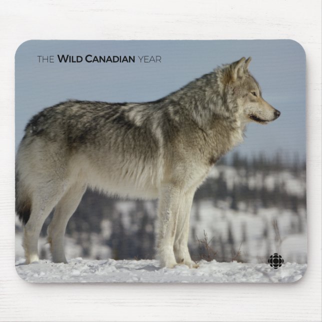 Winter - Wolf Mousepad (Vorne)