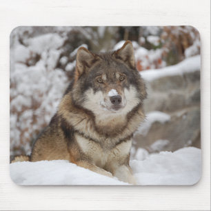 Winter Wolf Mousepad